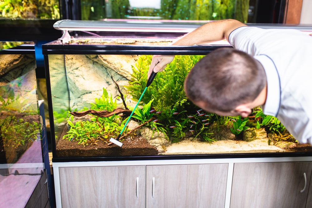 Fish Tank Cleaner: Aquarium Maintenance & Cleaning